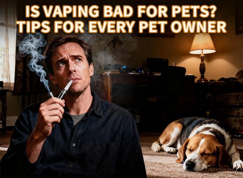 is vaping bad for pets tips for every pet owner