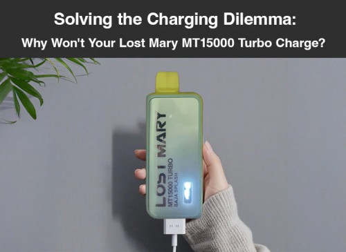 solving the charging dilemma why won't your lost mary mt15000 turbo charge