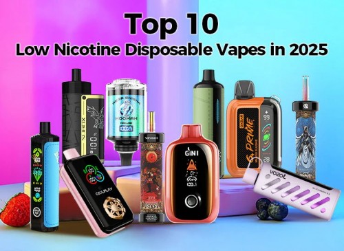top 10 low nicotine disposable vapes in 2025