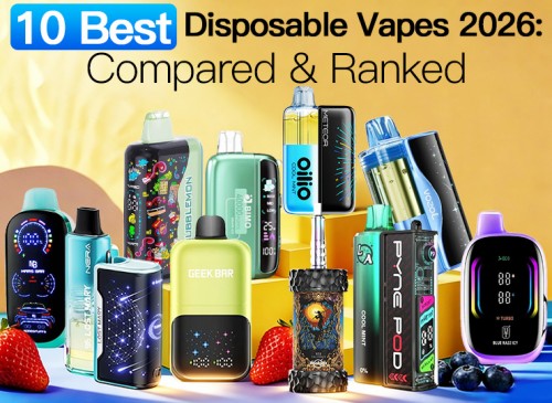 10 best disposable vapes 2026: compared and ranked