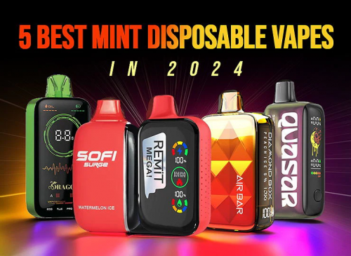 5 best mint disposable vapes