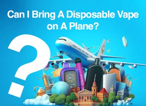 can i bring a disposable vape on a plane