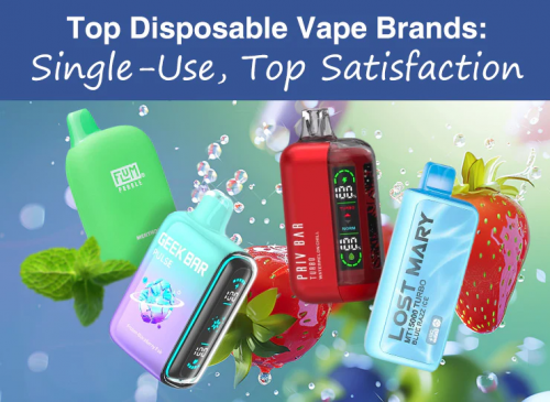 top disposable vape brands in 2024