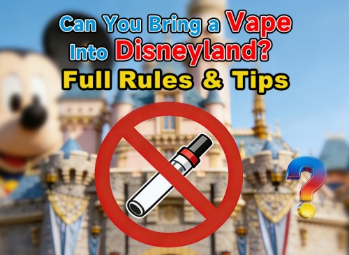 Can You Bring a Vape Into Disneyland? Full Rules & Tips