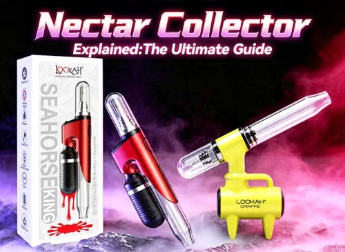 nectar collector explained: the ultimate guide