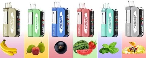 foger switch pro 30000