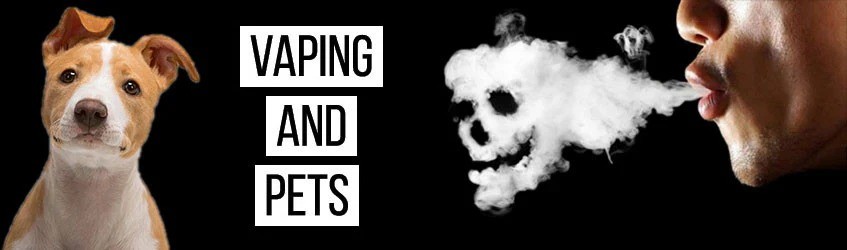 how to treat nicotine poisoning in dogs at home