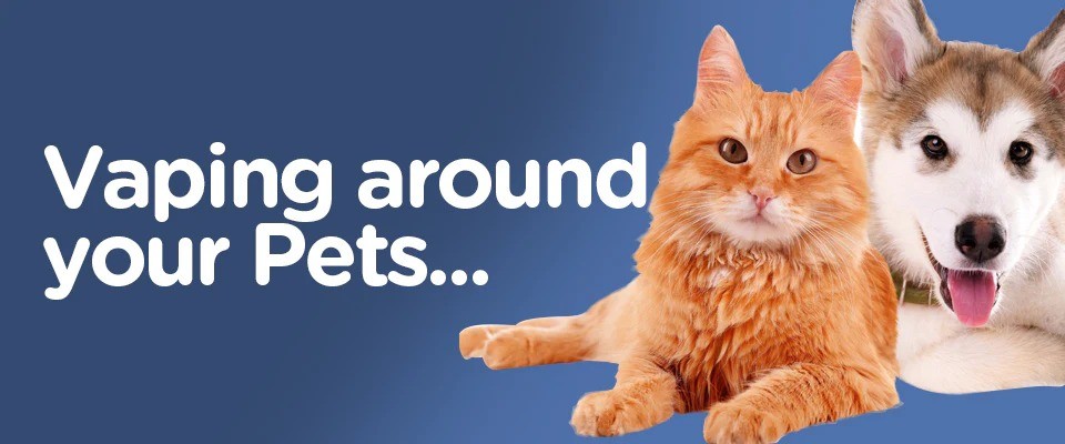 vaping around pets