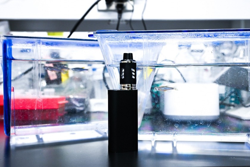 vaping effects gut microbiome