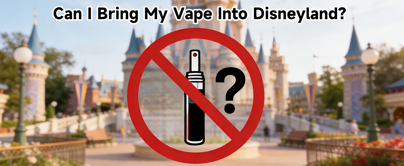can i bring my vape into disneyland