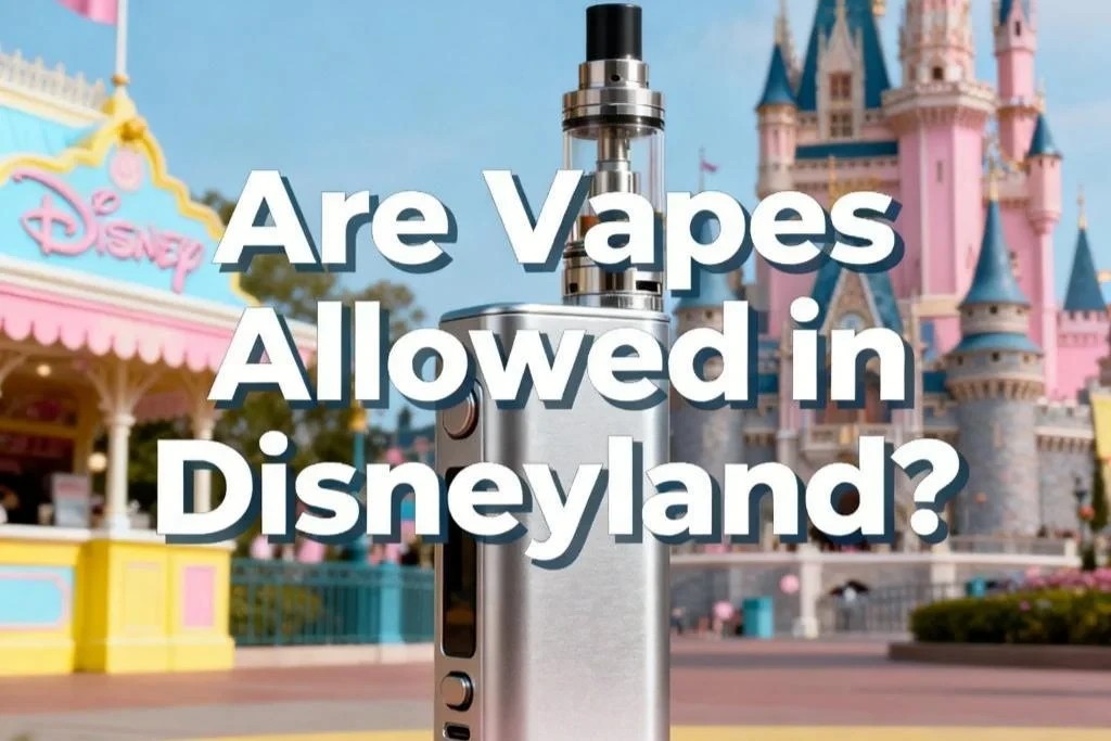 can you bring a vape into disneyland