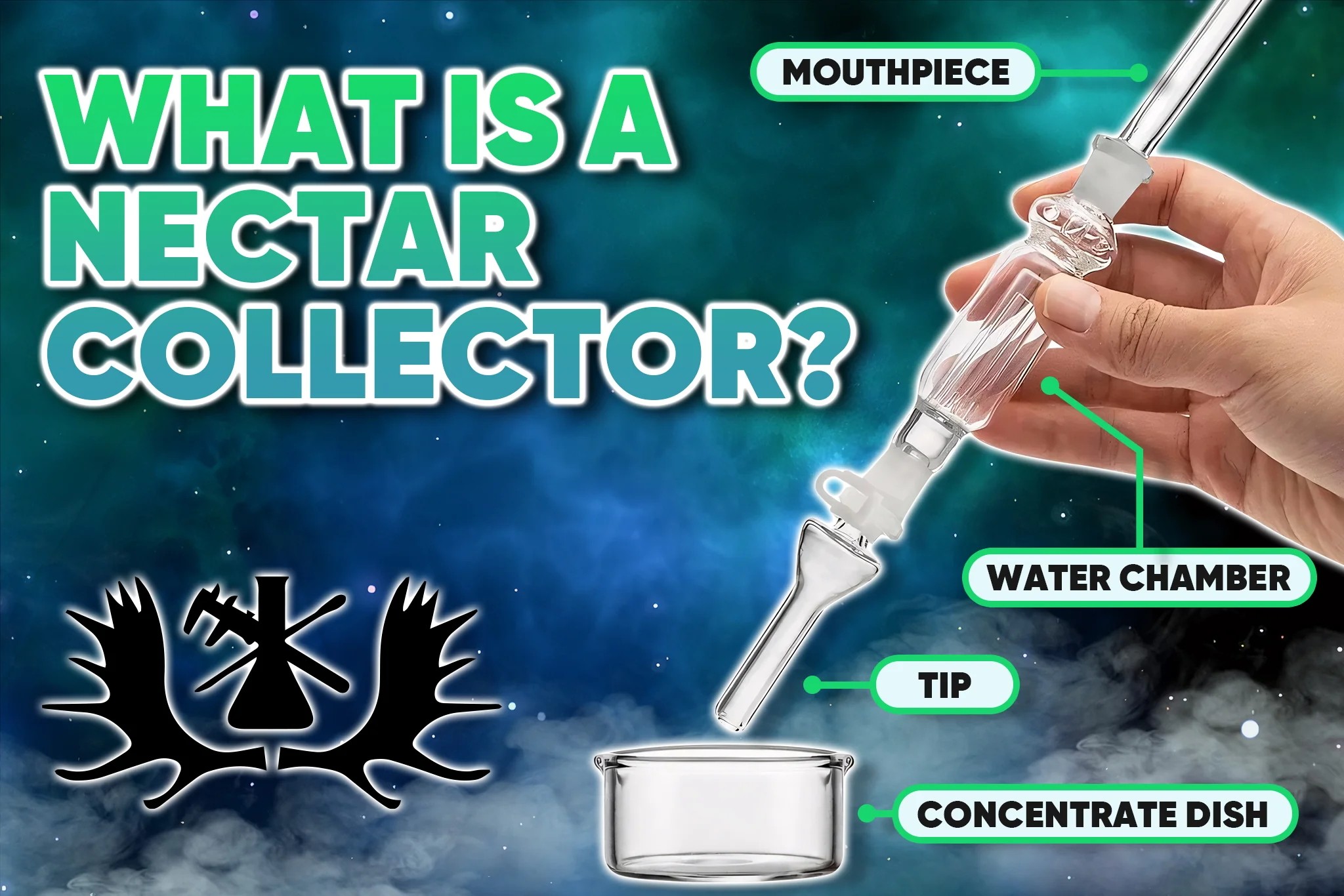what is a nectar collector