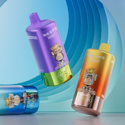 100K Puff Disposable Vape