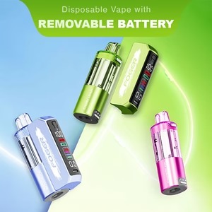 disposable with removable battery