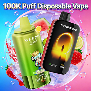 100000 puffs disposable vape