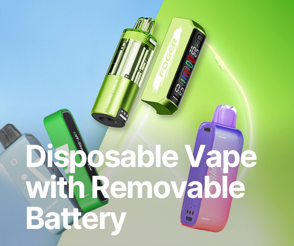 disposable vape with removable battery