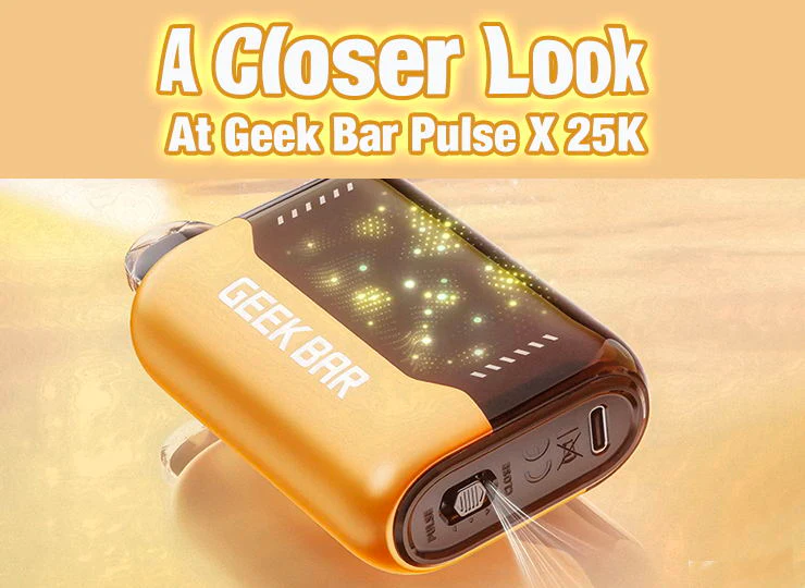 A Closer Look at Geek Bar Pulse X 25K Review